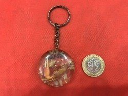 ESKİ ANAHTARLIK (REÇİNE İÇİNE GÖMÜLMÜŞ DENİZ ÜRÜNLERİ)